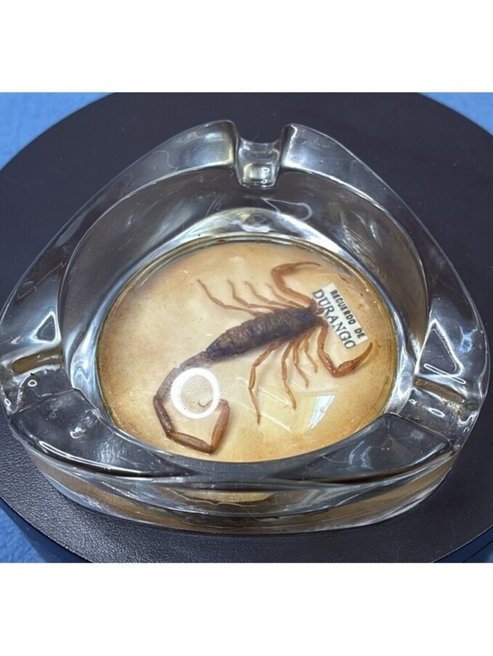 Durango Mexico Scorpion Specimen Glass Ashtray